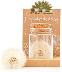 Mejores Regalos de Cumpleaños Ecológicos para Preadolescentes