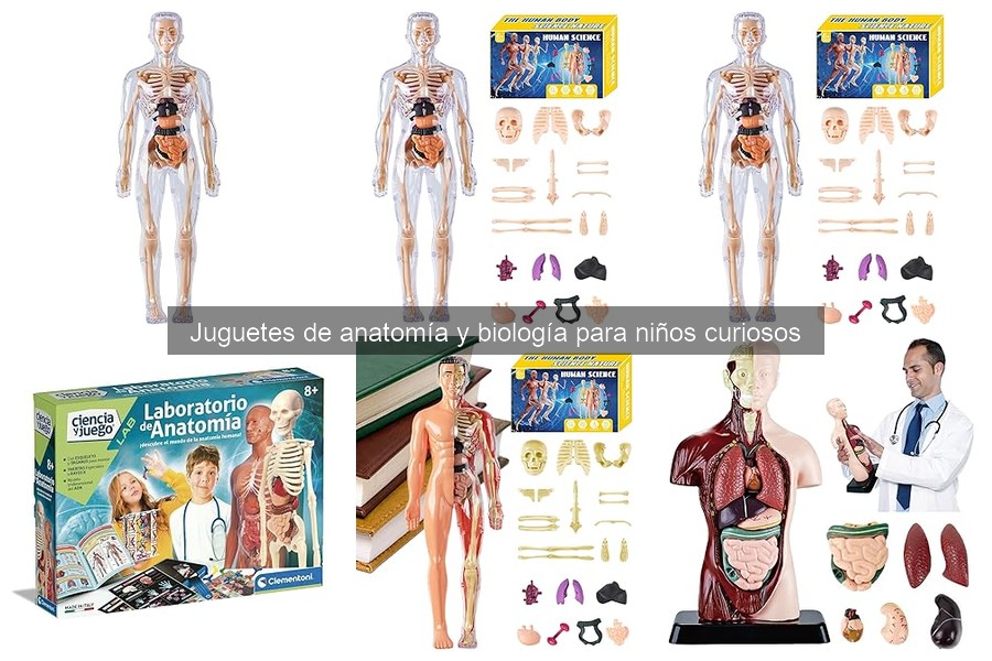 Alternativas a Juguetes de Anatomía para Niños Curiosos