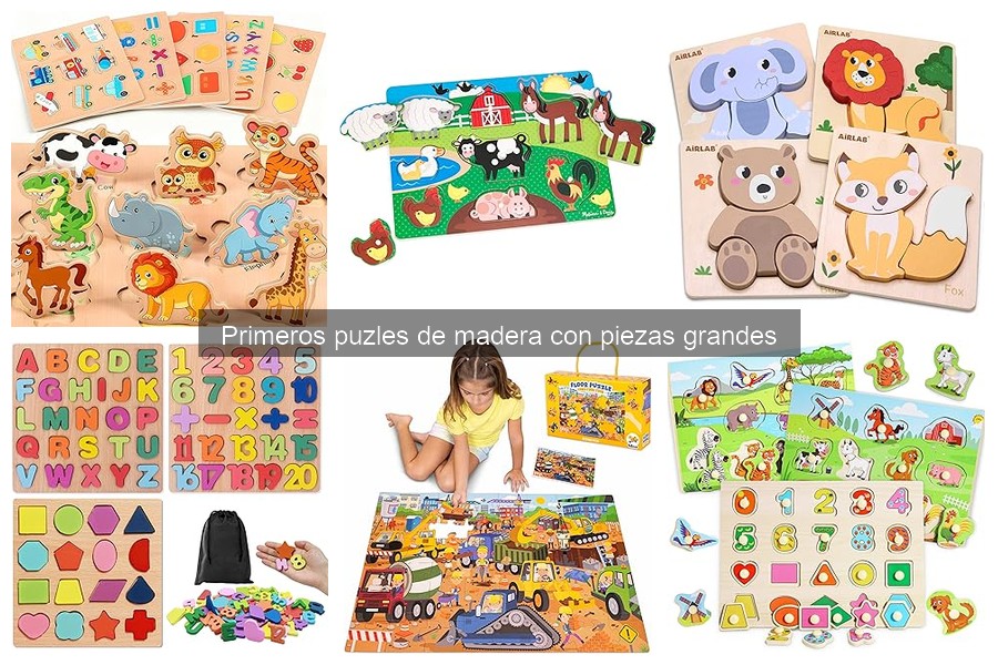 ** Características de los mejores puzles de madera para aprender