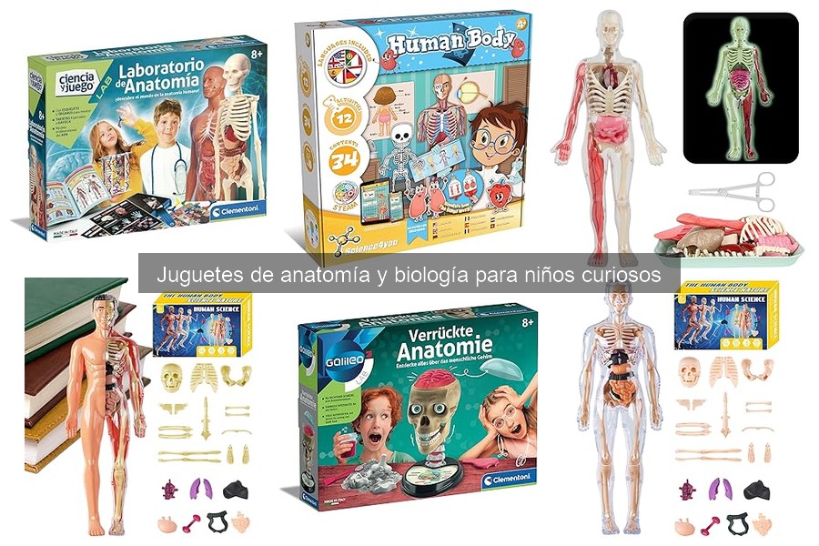 Cómo los juguetes de anatomía mejoran la educación en casa