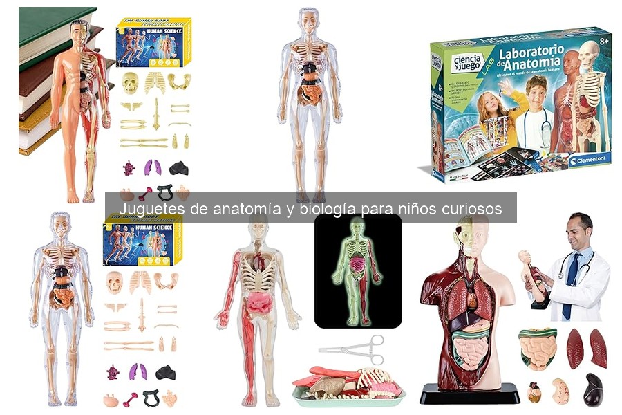 Errores comunes al elegir juguetes de anatomía para niños