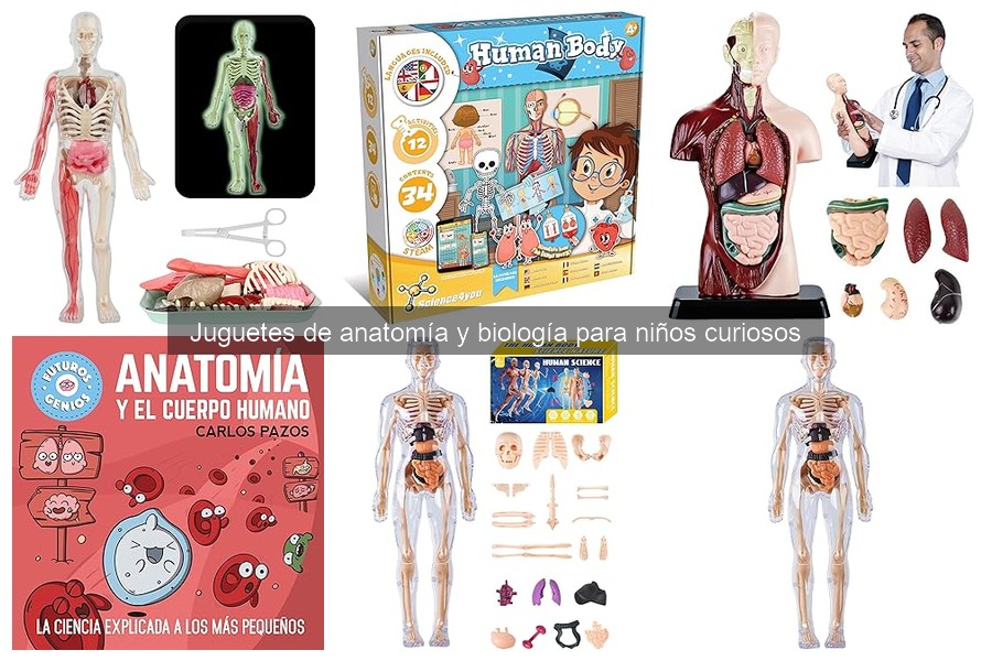 Juguetes de Anatomía para Niños: Guía por Edad (3-12 años)