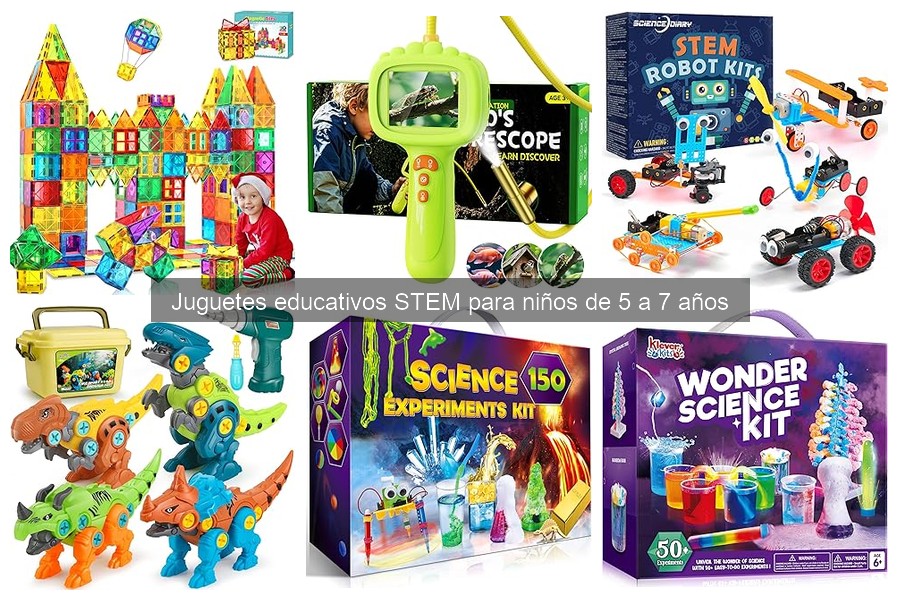 Juguetes Educativos STEM por Áreas de Aprendizaje para Niños