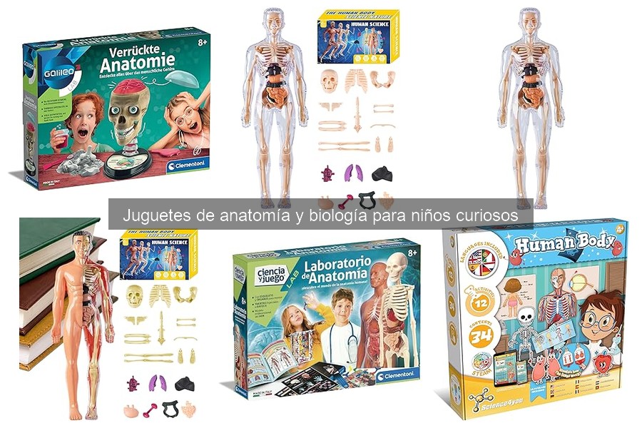 Preguntas Frecuentes sobre Juguetes de Anatomía para Niños